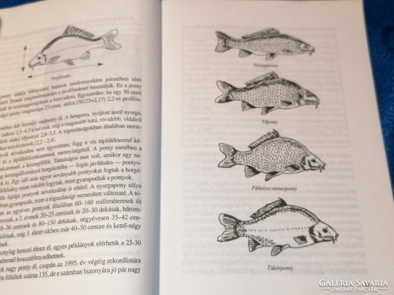 Horgász könyvek (745)