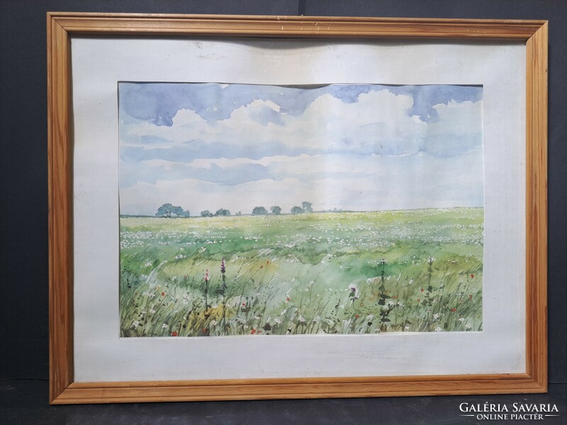 Flower field - landscape (with frame 42×32 cm) offset print made after watercolor