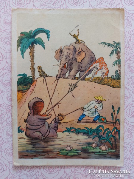 Old Russian postcard 1957 postcard elephant hippo giraffe monkey