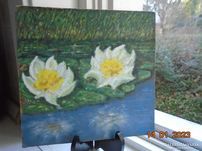 Water lilies