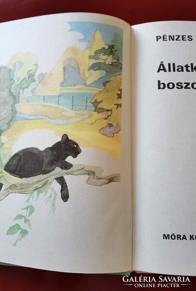 Pénzes Bethen: Állatkerti boszorkánykonyha, 1988.