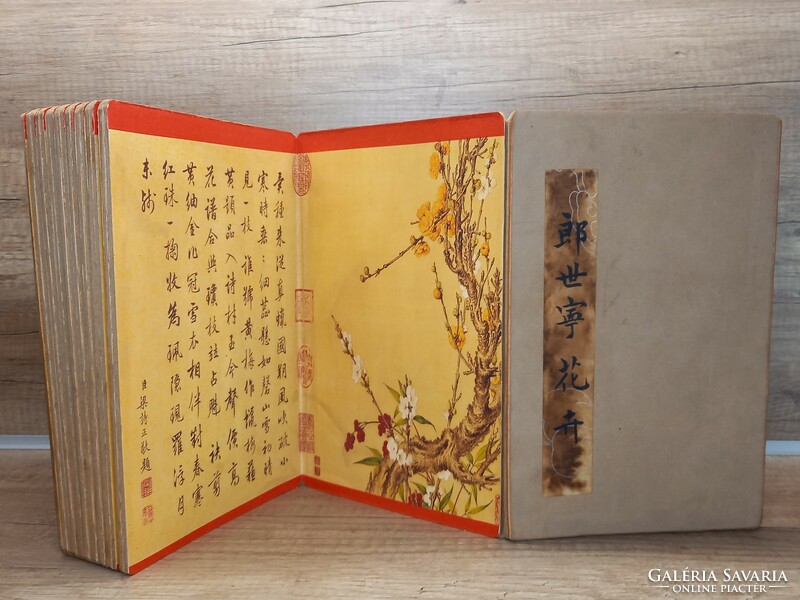 Kínai Lang Sining botany book(art reprint)