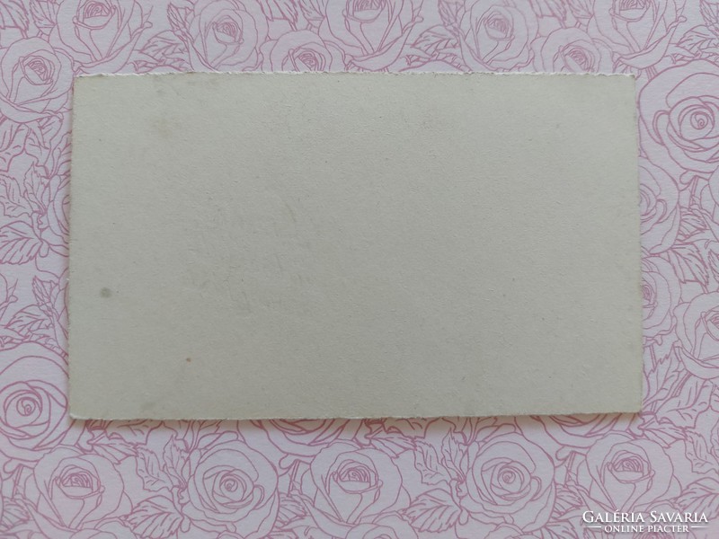 Régi mini képeslap virágos levelezőlap üdvözlőkártya nárcisz