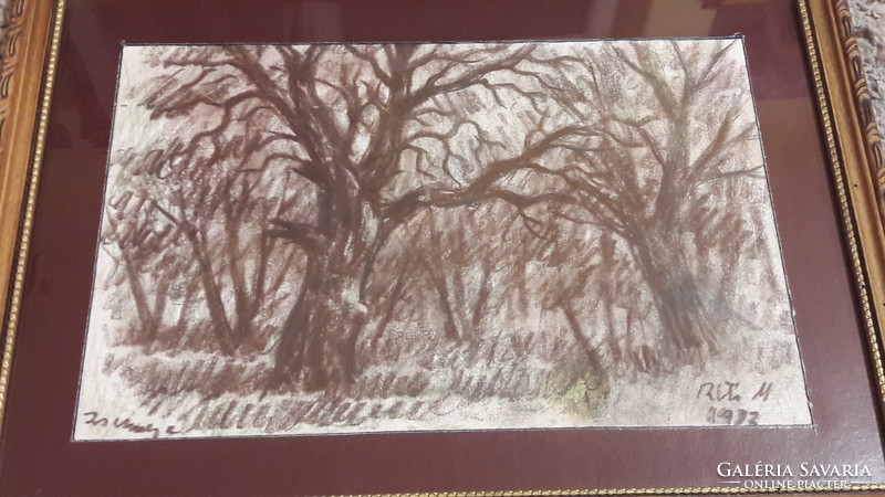 Mátyás Réti 1992 pencil drawing, forest, trees