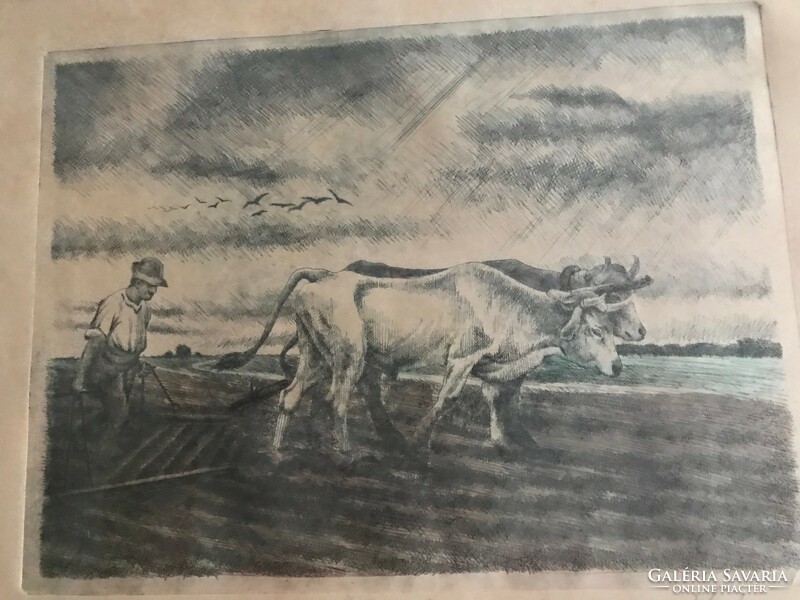 Image made with the multiplication process, colored etching paper technique. Titled plowing. 33X27 cm
