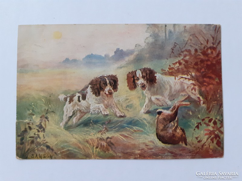 Régi képeslap 1915 Samson művészeti levelezőlap kutya nyuszi vadászat
