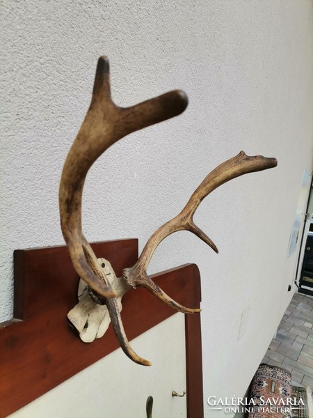 Huge hunter with antlers in an art-deco frame. Negotiable.
