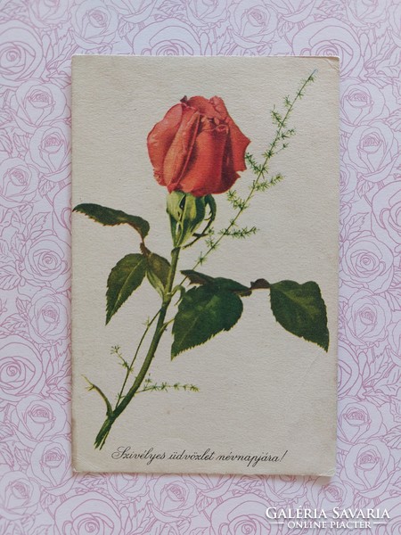 Régi virágos képeslap 1961 rózsás levelezőlap