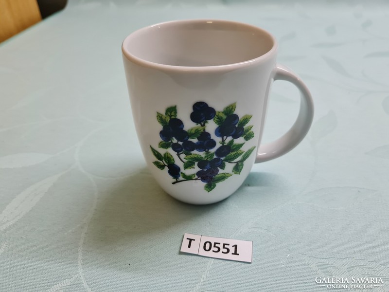 T0551 witeg stone cartilage blueberry mug