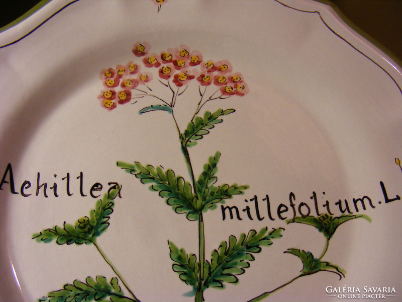 Közönséges cickafark - Achillea millefolium L. fali tányér