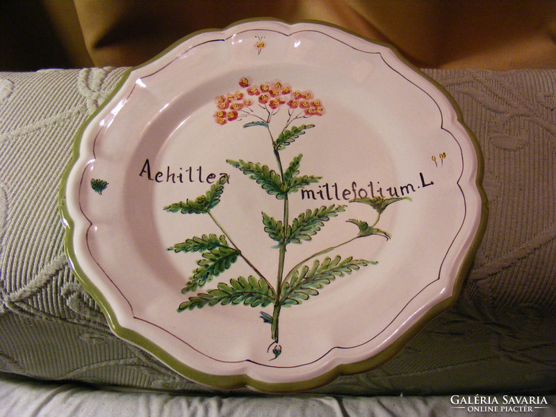 Common yarrow - achillea millefolium l. Wall plate