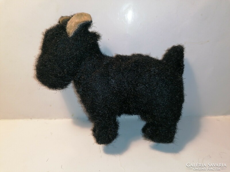 Régi fekete kutya, terrier (790)