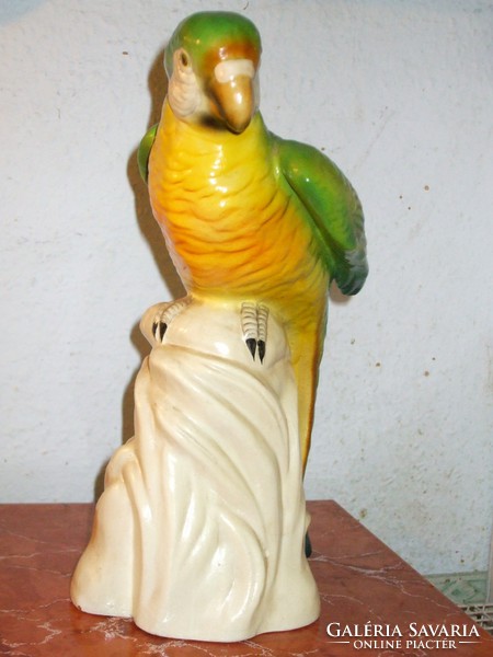 Large green yellow macaw parrot.