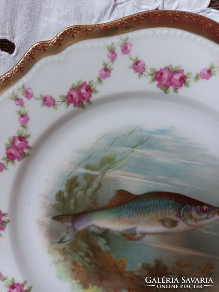Osztrák porcelán halas tányér