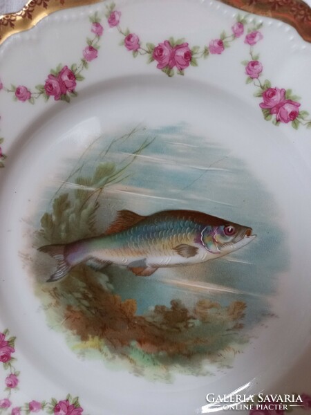 Osztrák porcelán halas tányér