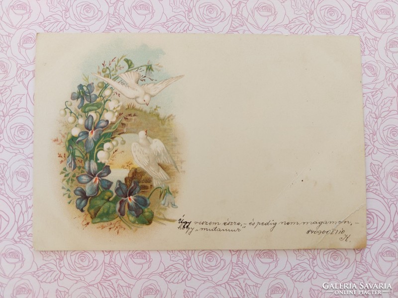 Régi képeslap 1900 levelezőlap ibolya galamb gyöngyvirág