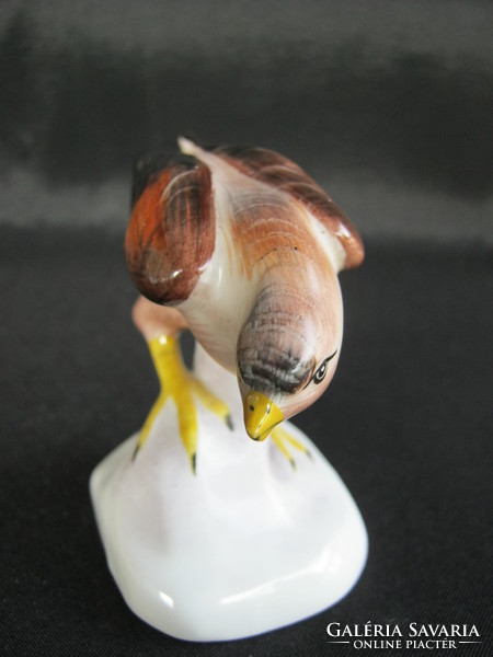 Aquincum porcelain bird falcon