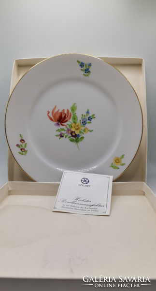 Höchst gilded decorative plate