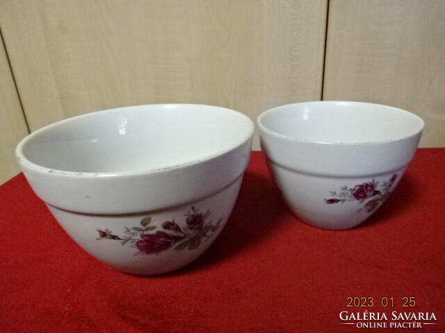 Chinese porcelain bowl, two pieces, rose pattern. He has! Jokai.