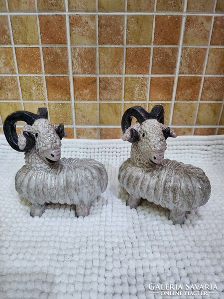 A handsome ram in a pair is a rarity