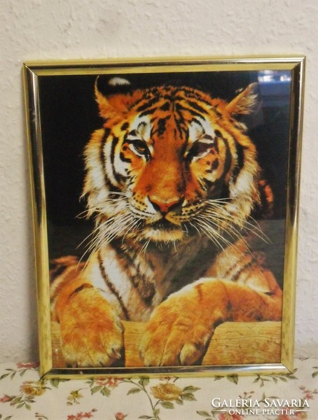 Tiger wall picture 20.5 X 25.5 Cm.