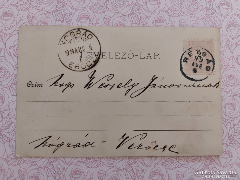 Régi képeslap 1899 levelezőlap fecske nefelejcs