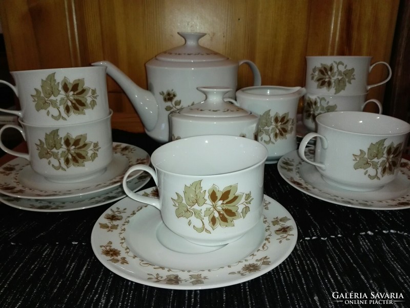 Retro, tea and coffee set, lowland porcelain, like new.