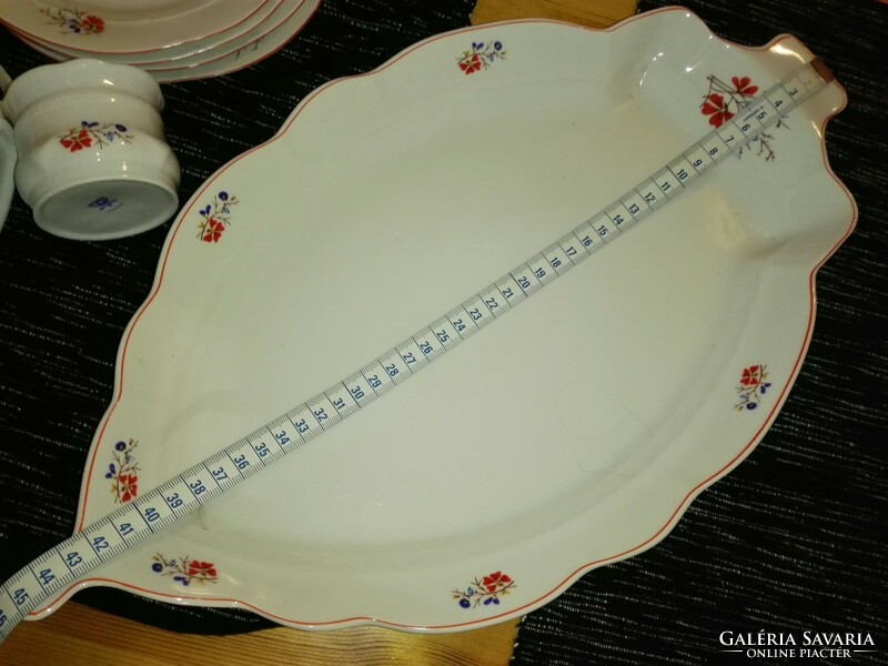 Beautiful porcelain cookie with a giant tray.