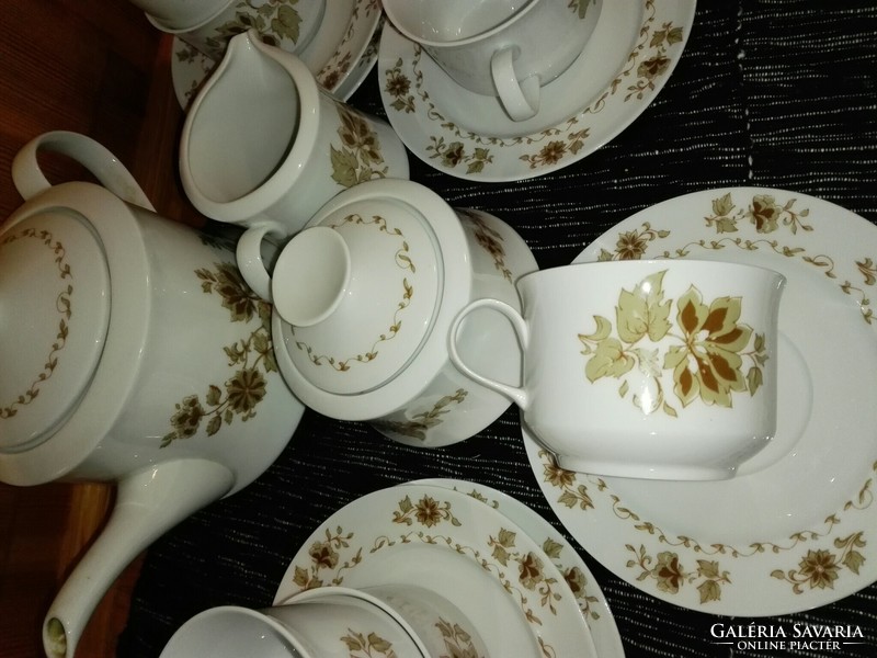 Retro, tea and coffee set, lowland porcelain, like new.