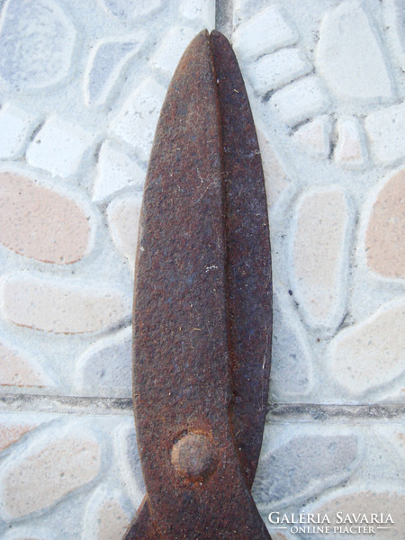 Antique old wrought iron vintage scissors 23 cm