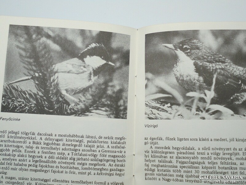 Turista reklám, prospektus - Szilvásvárad Szalajka-völgy 1981-es kiadás