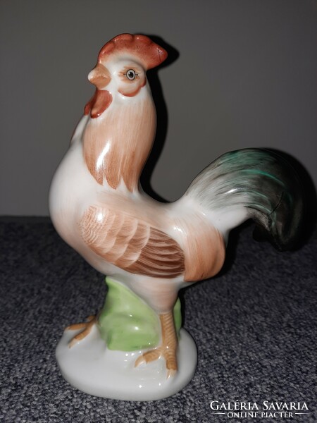 Nice aquincum rooster