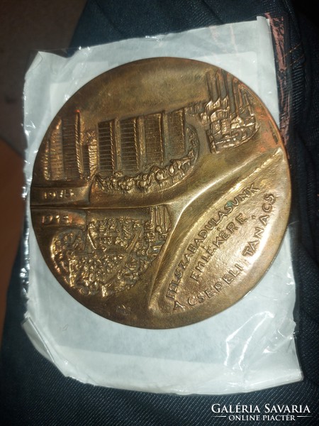 Bronze commemorative medal, sign, 117 mm, 316 gr, drop
