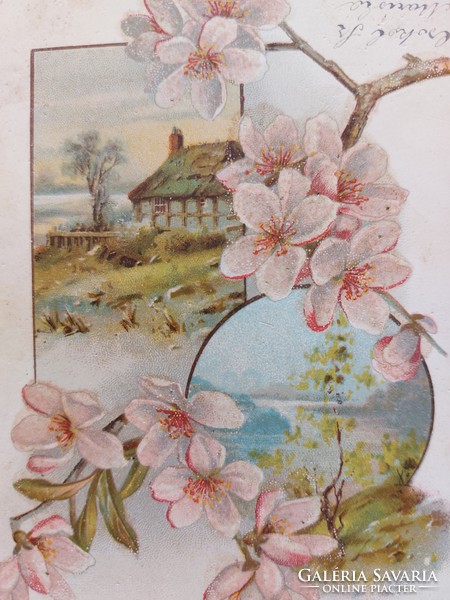 Old postcard 1900 postcard with flowering tree branch in spring