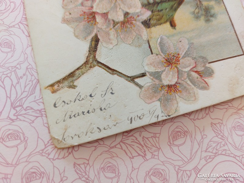 Régi képeslap 1900 levelezőlap virágzó faág tavasz
