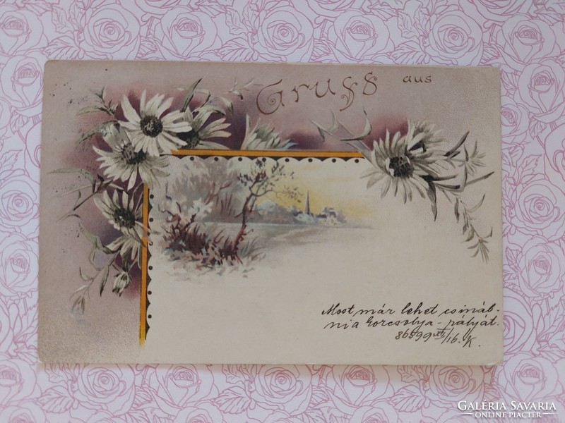 Régi képeslap 1899 levelezőlap növényminta