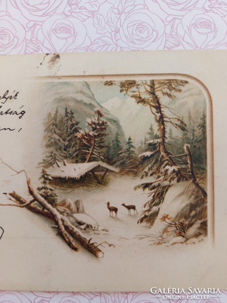 Régi képeslap 1900 levelezőlap havas táj őzike