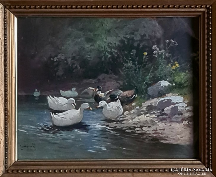 Gyula Zorkóczy: ducks