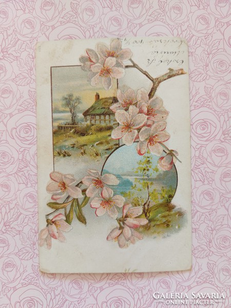 Old postcard 1900 postcard with flowering tree branch in spring