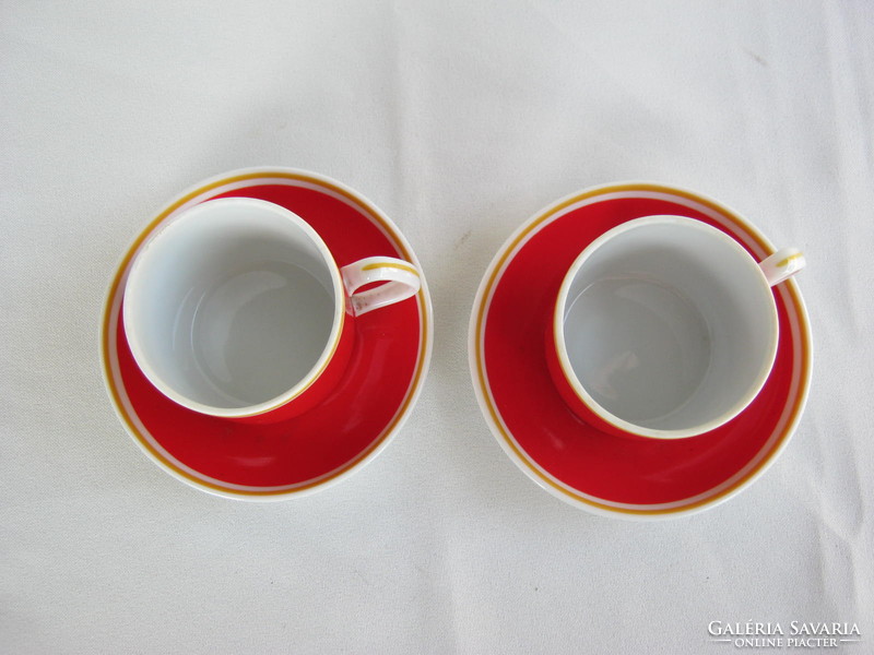 Couple of raven with porcelain red coffee cup