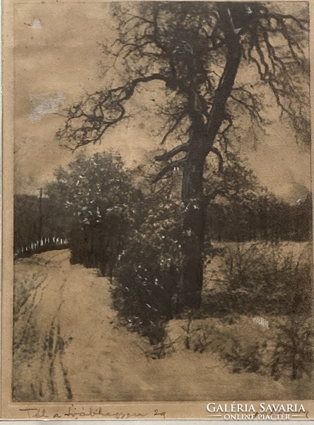 Svábhegyen lithography is winter