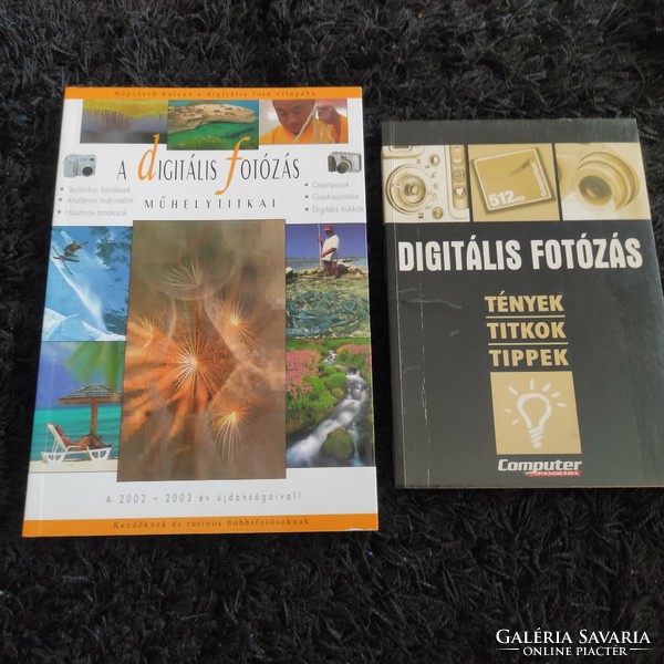 Digital photography books - 2 in one