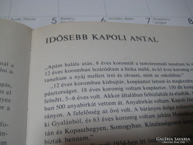 A két Kapoli   A népművészet mesterei   Írta Domanovszky Gy .  Corvina 1983.