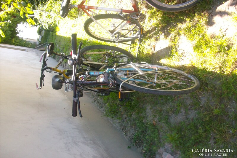 Swiss olympic retro bike