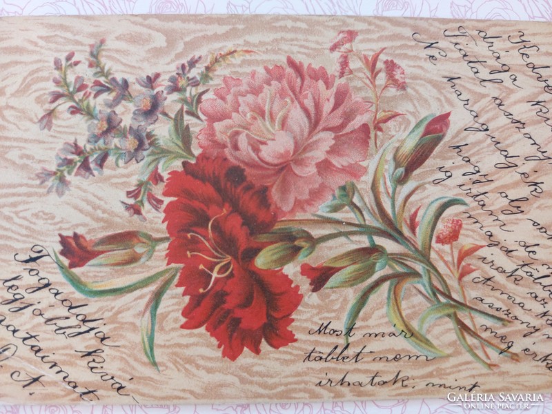 Old postcard 1900 postcard with carnations