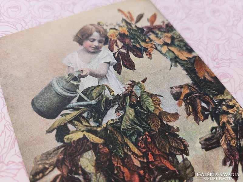 Old postcard 1904 photo postcard little girl chestnut tree