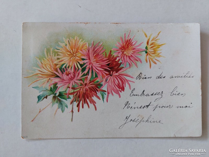 Régi virágos képeslap levelezőlap őszirózsa krizantém