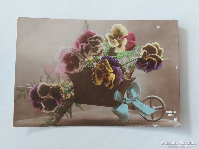 Old floral postcard postcard pansy in wheelbarrow