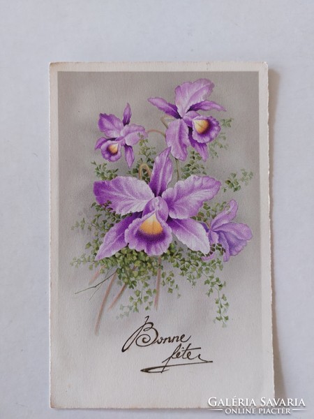 Régi virágos képeslap 1940 levelezőlap lila orchidea