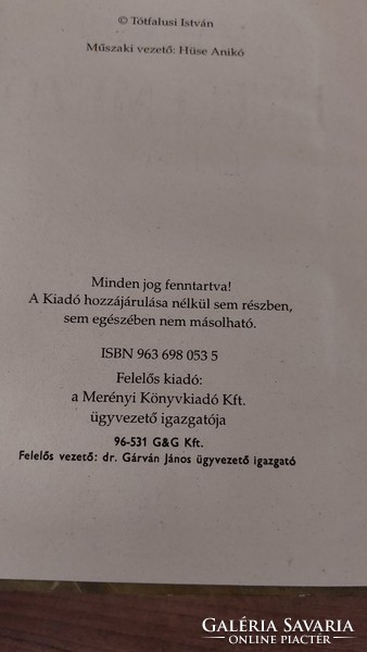 István Tótfalusi Hungarian hand dictionary from A to Z, Merényi könyvkiadó kft. 1996 - Book